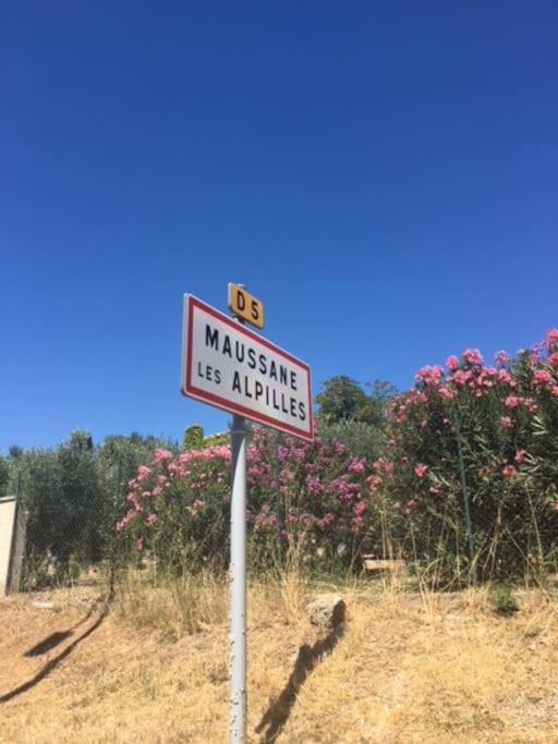Mazet Provencal Au Coeur Des Alpilles La Reverie Maussane les Alpilles Luaran gambar