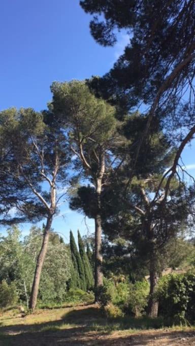 Mazet Provencal Au Coeur Des Alpilles La Reverie Maussane les Alpilles Luaran gambar